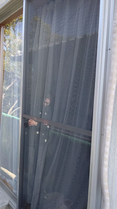 渋川市のお客様網戸の張替え写真