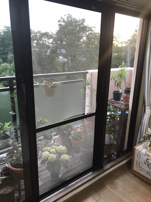 淡路市のお客様網戸の張替え写真