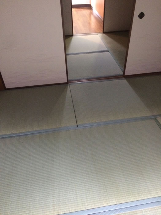 茅ヶ崎市のお客様畳の張替え写真